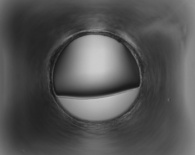X0000088651456200705250932
