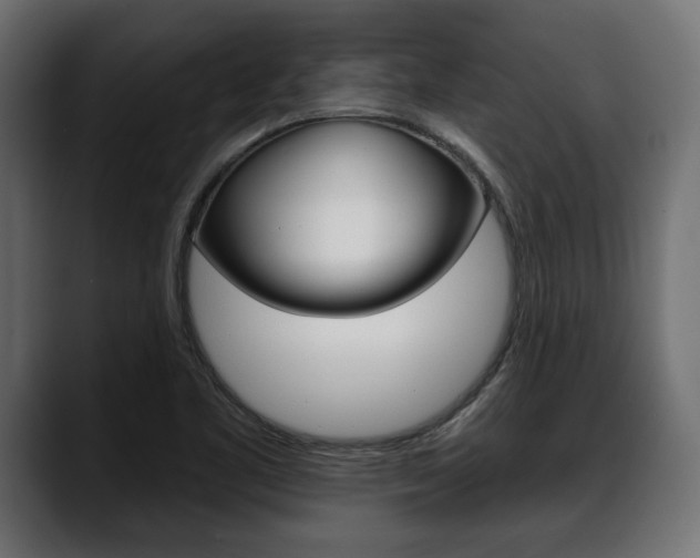 X0000088651461200705250932