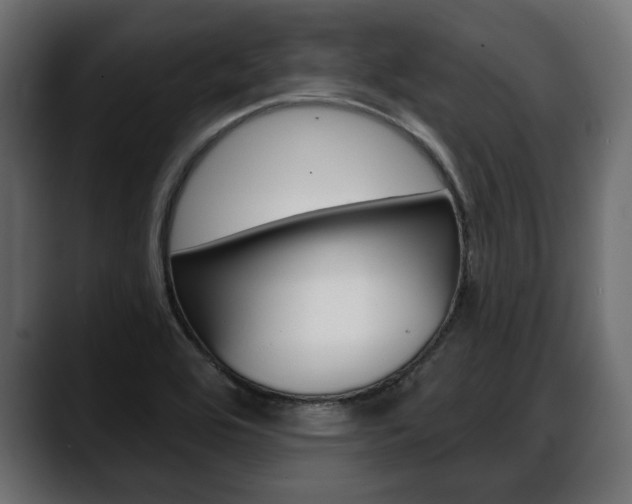 X0000088651464200705250932