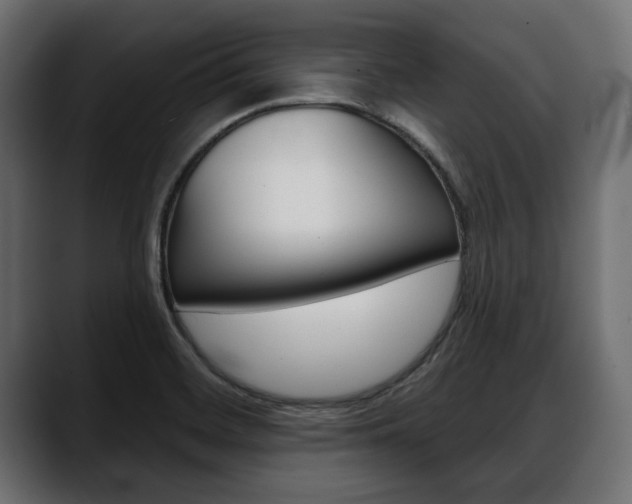 X0000088651468200705250932