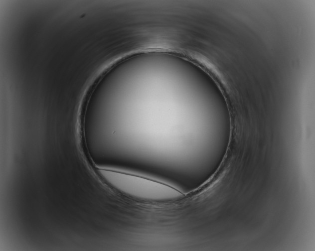 X0000088651469200705250932