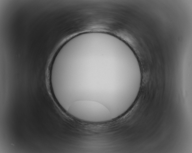 X0000088651470200705250932