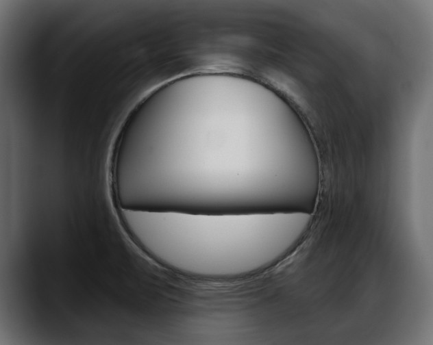 X0000088651471200705250932