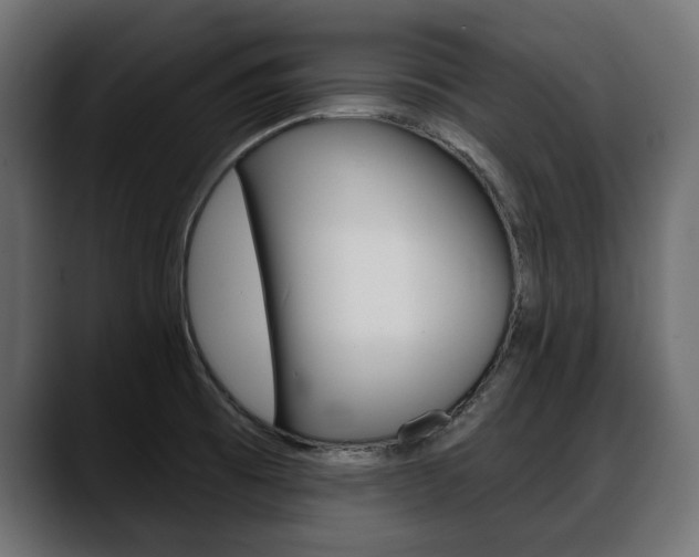 X0000088651473200705250932