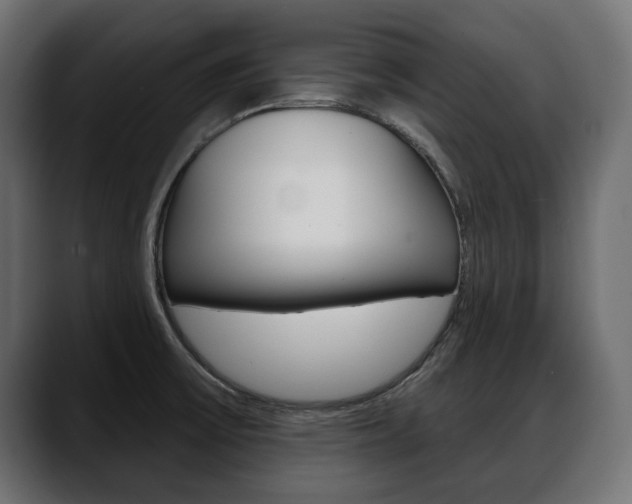 X0000088651475200705250932