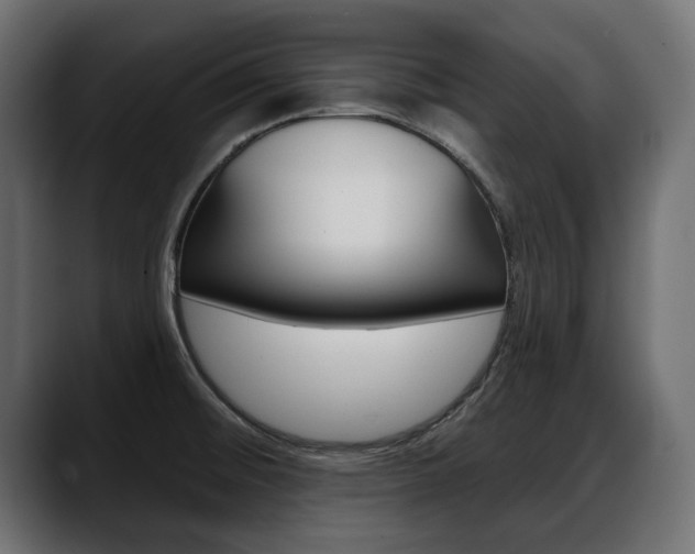 X0000088651476200705250932