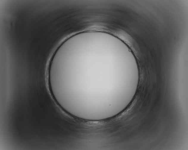 X0000088651478200705250932