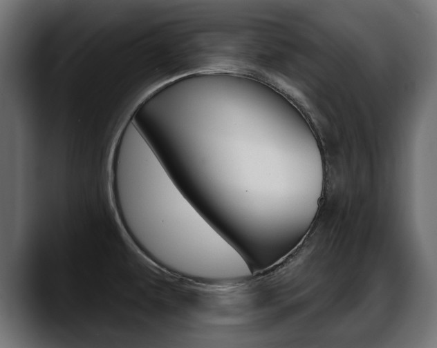 X0000088651479200705250932