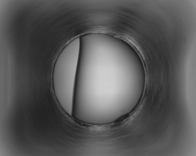 X0000088651481200705250932