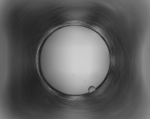 X0000088651482200705250932