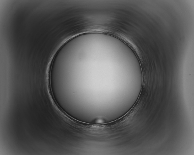 X0000088651483200705250932