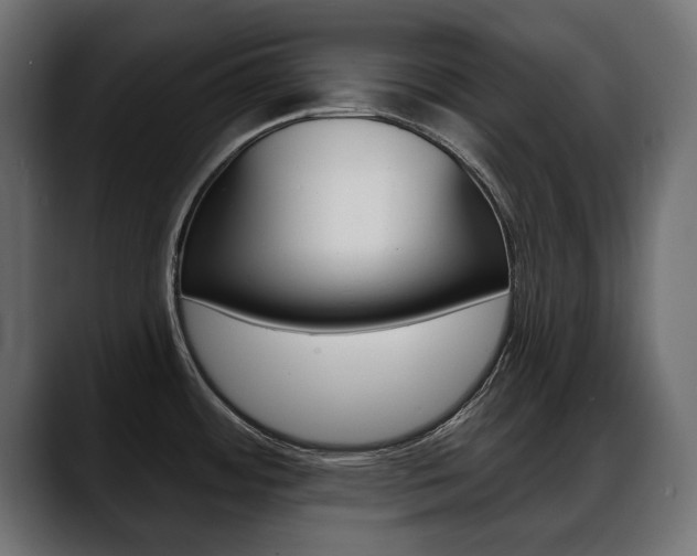 X0000088651484200705250932
