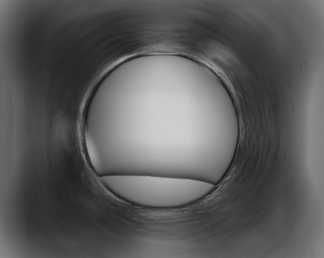 X0000088651486200705250932