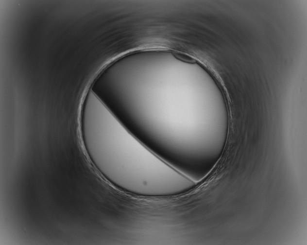 X0000088651488200705250932
