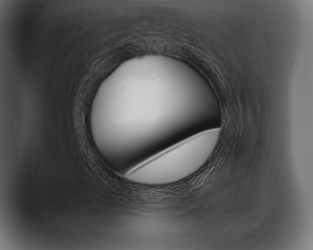 X0000088651489200705250931