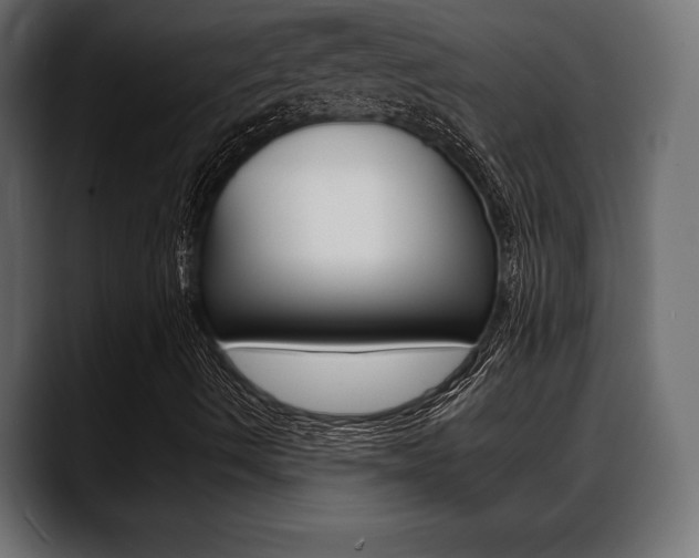 X0000088651490200705250931