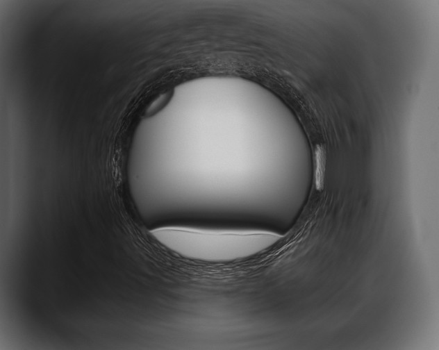 X0000088651491200705250931