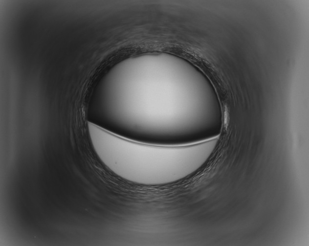 X0000088651492200705250931