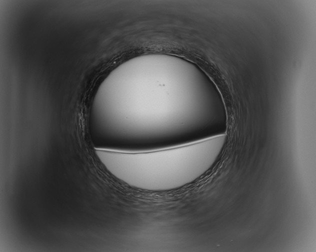 X0000088651493200705250931