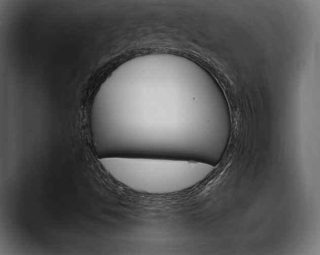 X0000088651494200705250931