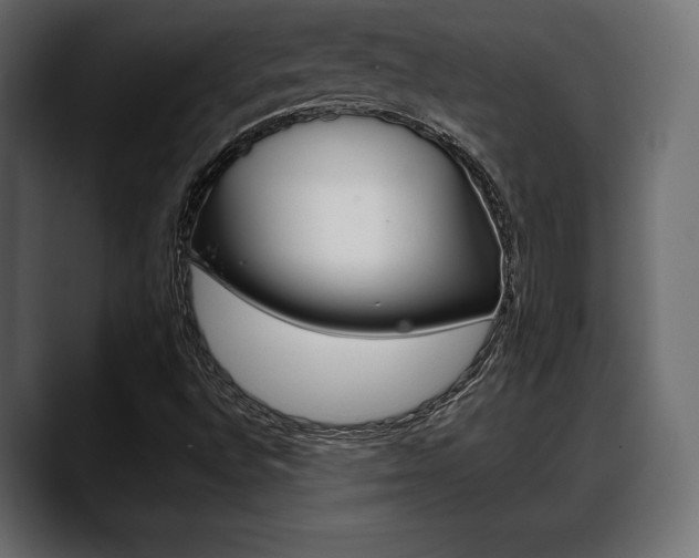 X0000088651496200705250931
