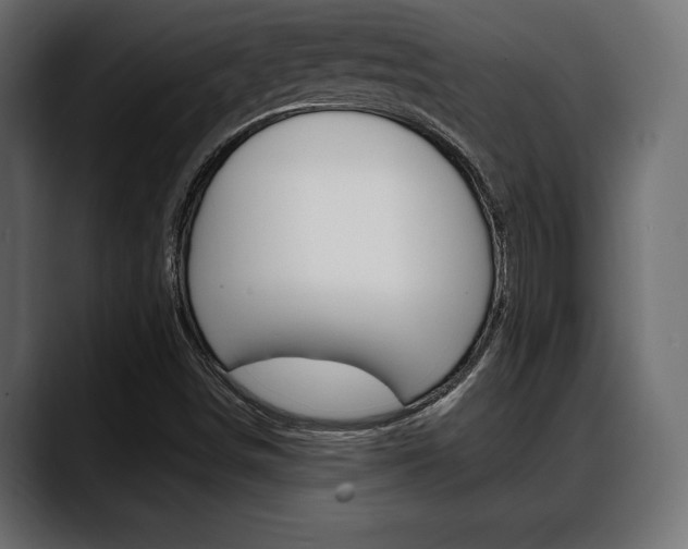 X0000088651498200705250931