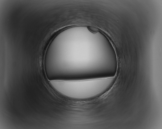 X0000088651499200705250931