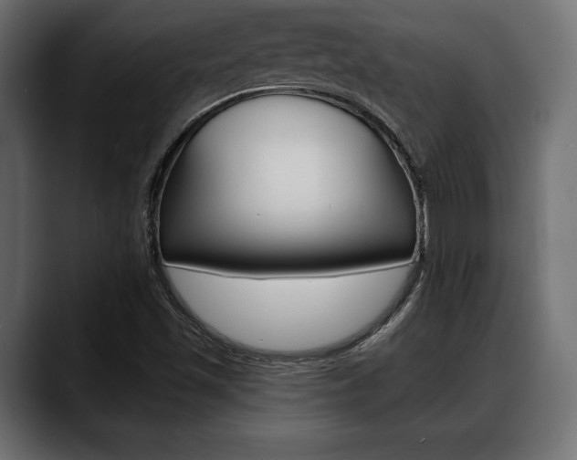 X0000088651501200705250931