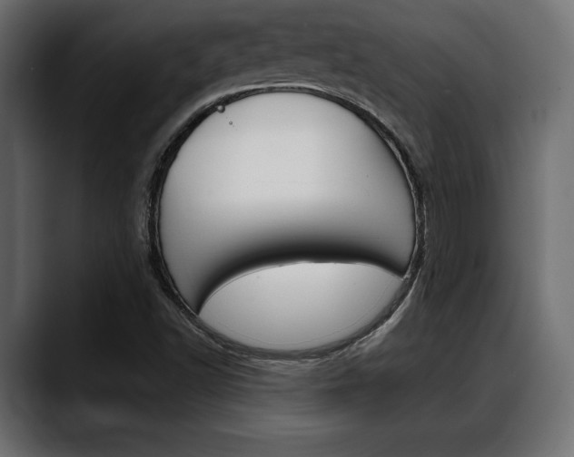 X0000088651502200705250931