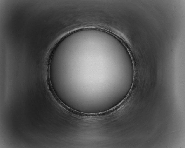 X0000088651504200705250931