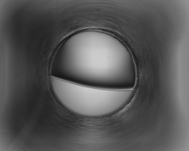 X0000088651505200705250931