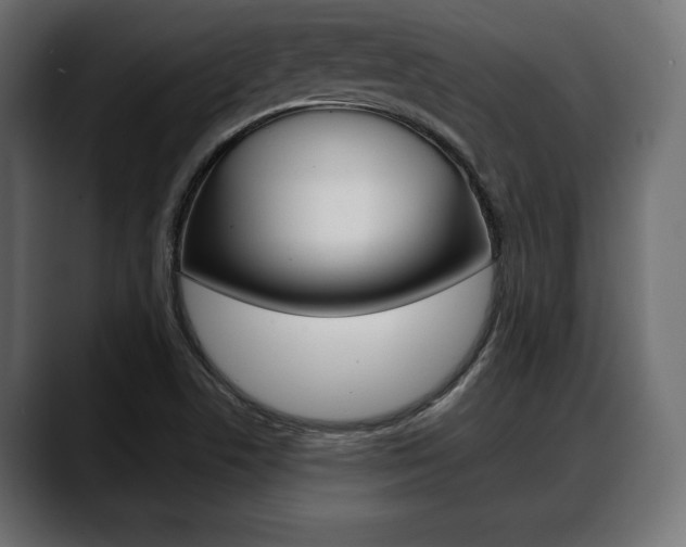 X0000088651506200705250931