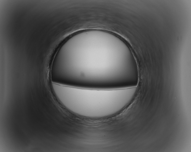 X0000088651507200705250931