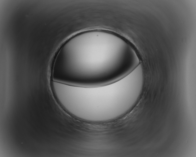 X0000088651508200705250931