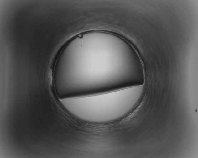 X0000088651509200705250931