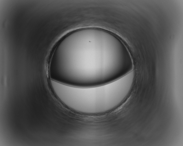 X0000088651510200705250931