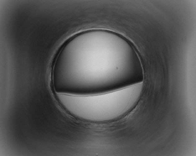 X0000088651511200705250931