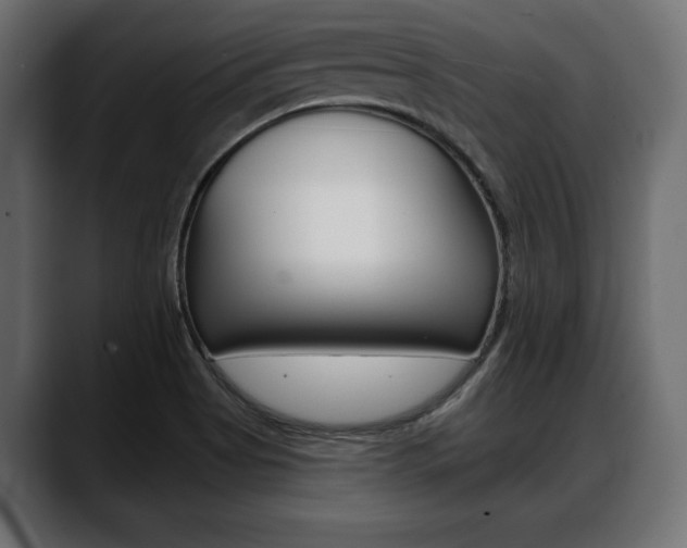X0000088651513200705250931