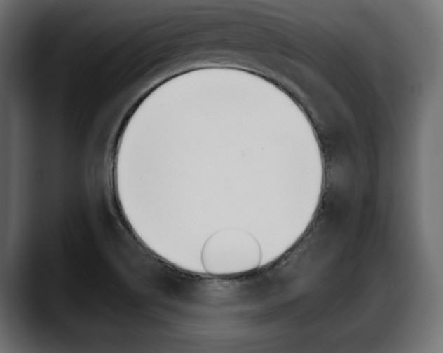 X0000088651514200705250931