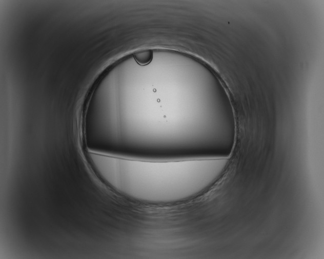 X0000088651515200705250931