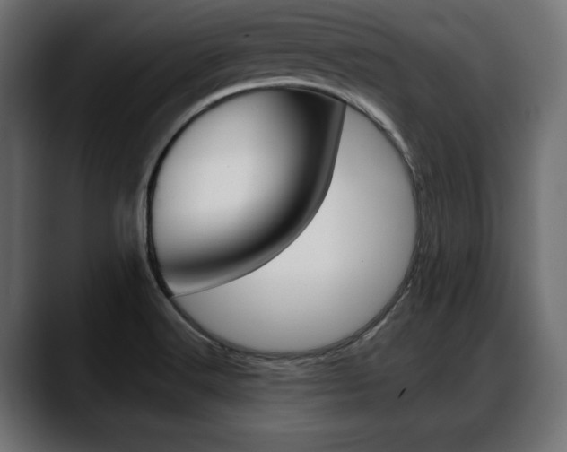 X0000088651516200705250931