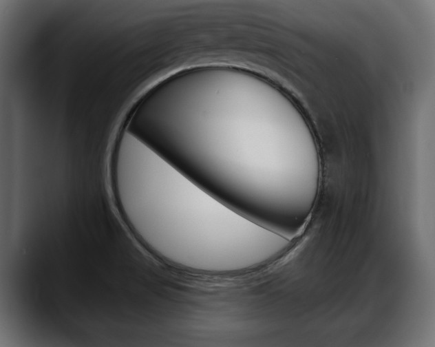 X0000088651517200705250931