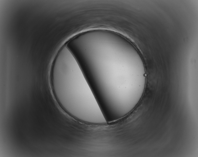 X0000088651519200705250931