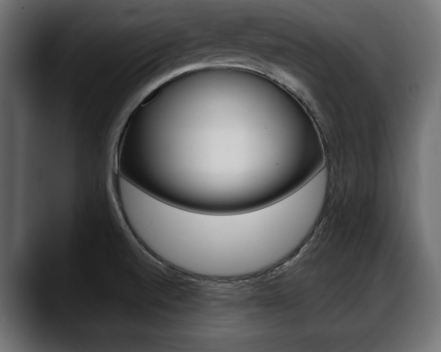 X0000088651520200705250931