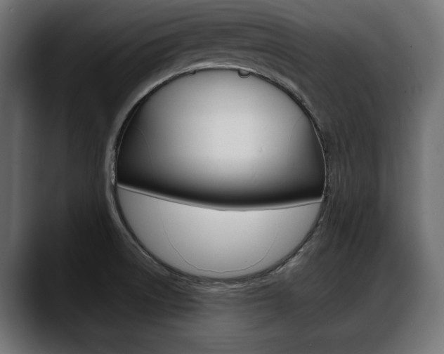 X0000088651522200705250931