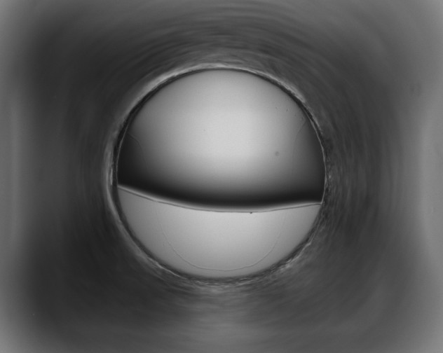X0000088651523200705250931