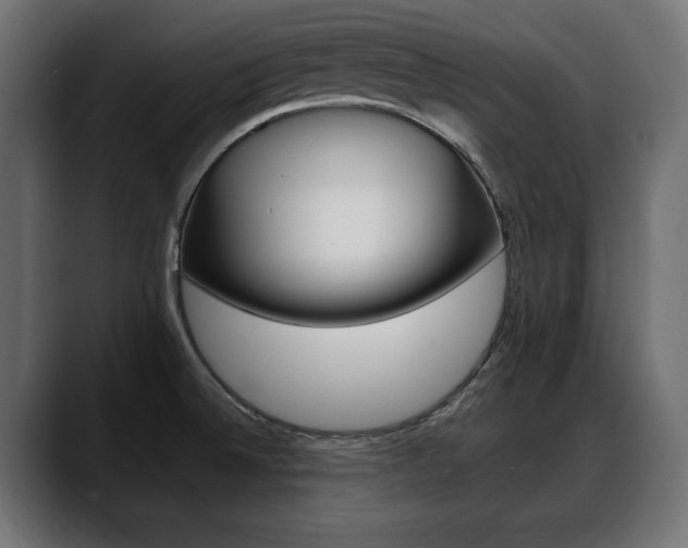 X0000088651524200705250931