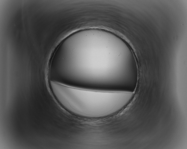X0000088651525200705250931
