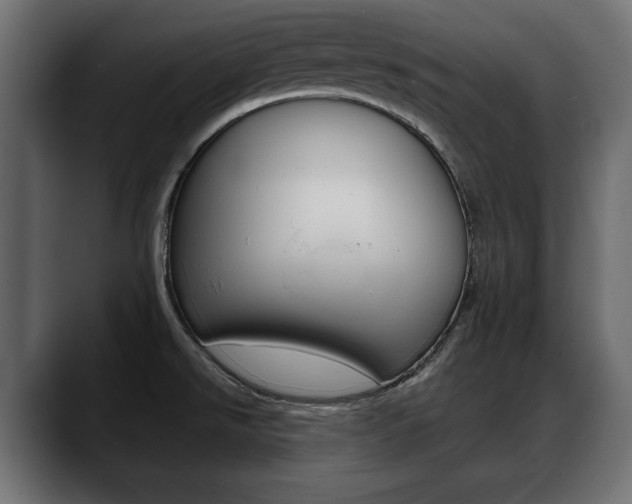 X0000088651526200705250931