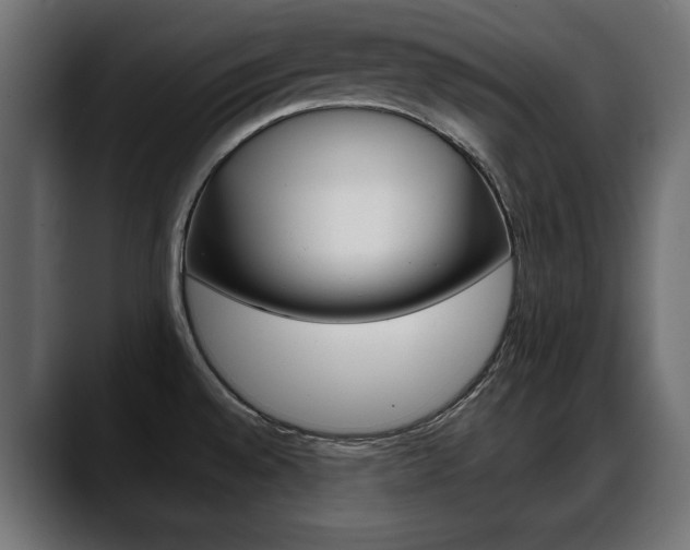 X0000088651528200705250932